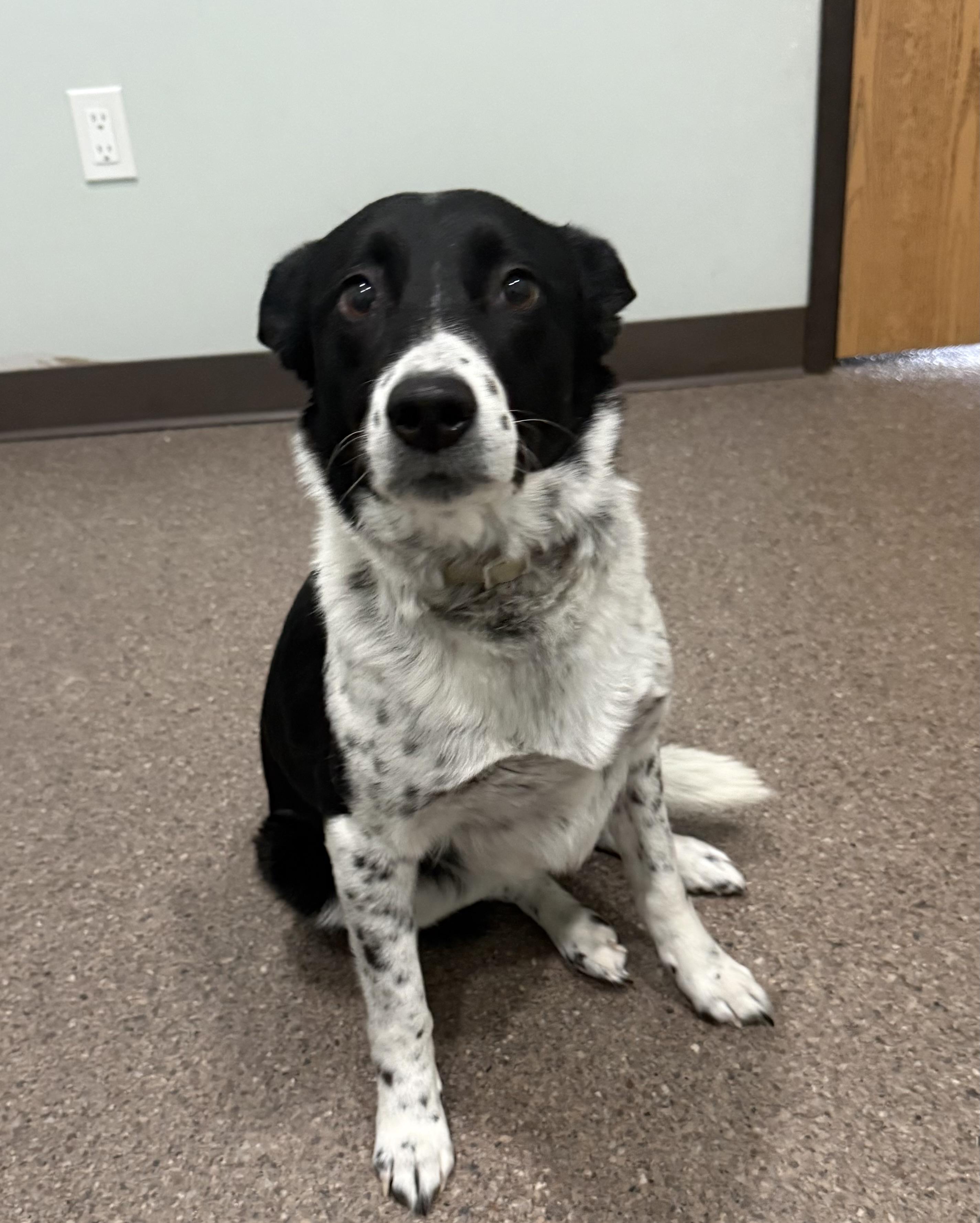 Freckles — thumbnail 2