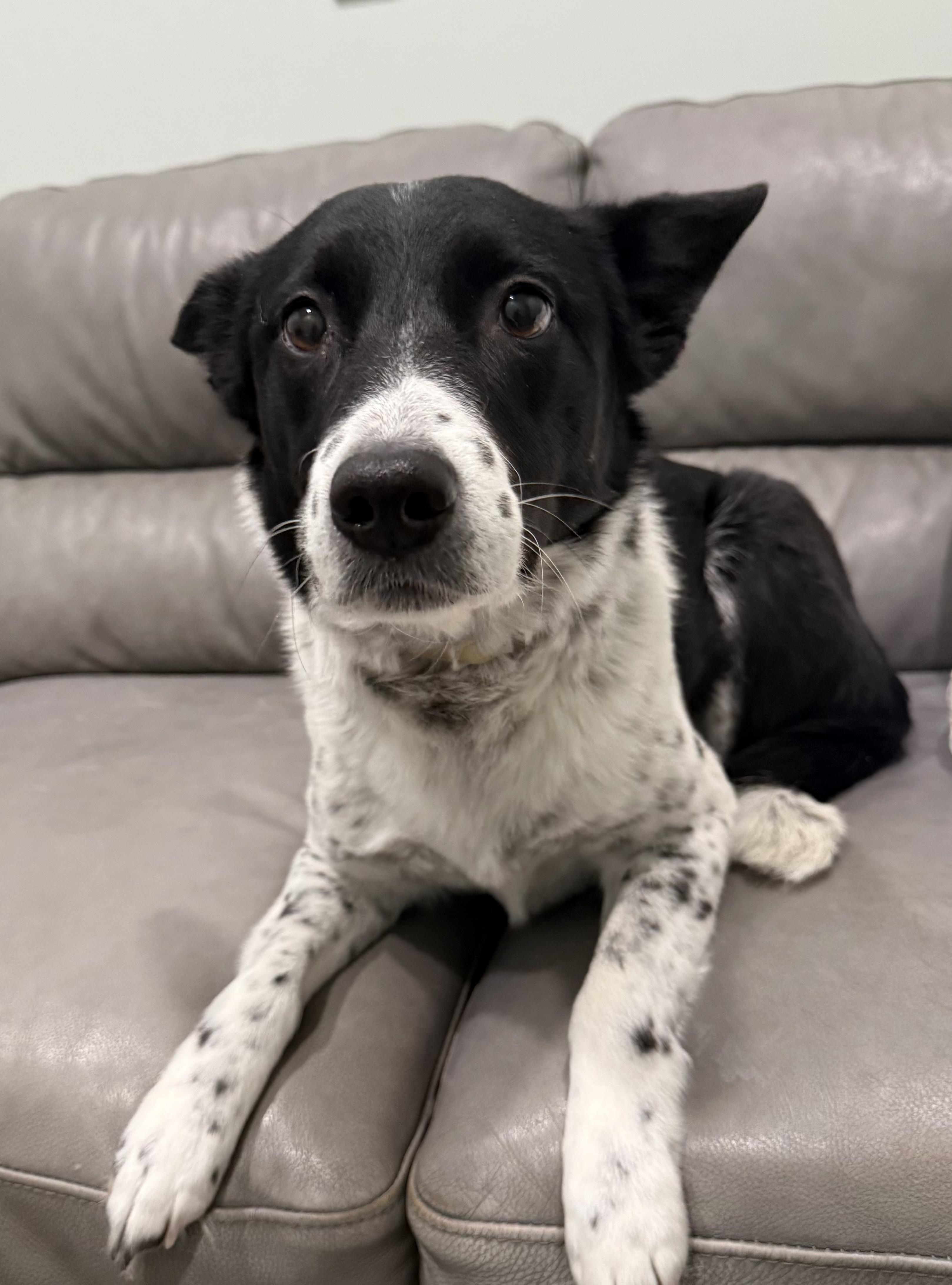 Freckles — thumbnail 3