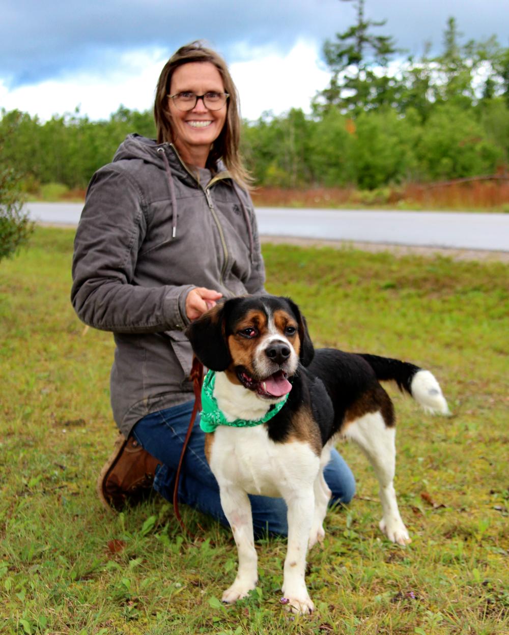 Buddy, an adoptable Beagle, Terrier in Cheboygan, MI, 49721 | Photo Image 3