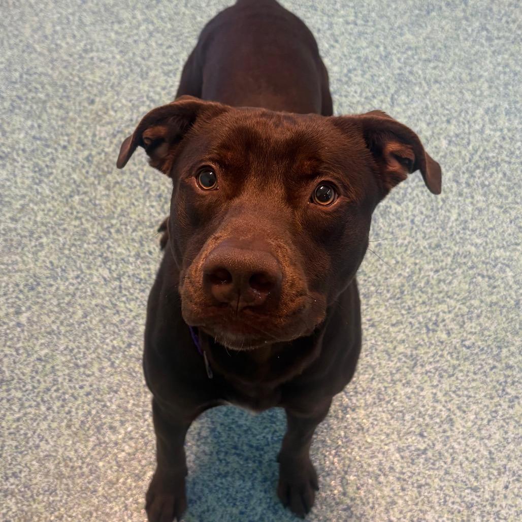 Raisin — thumbnail 2