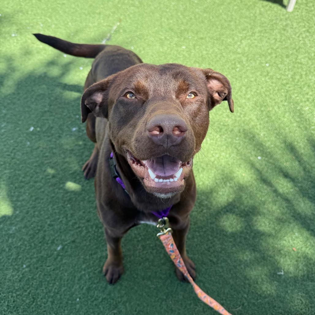 Raisin — thumbnail 3