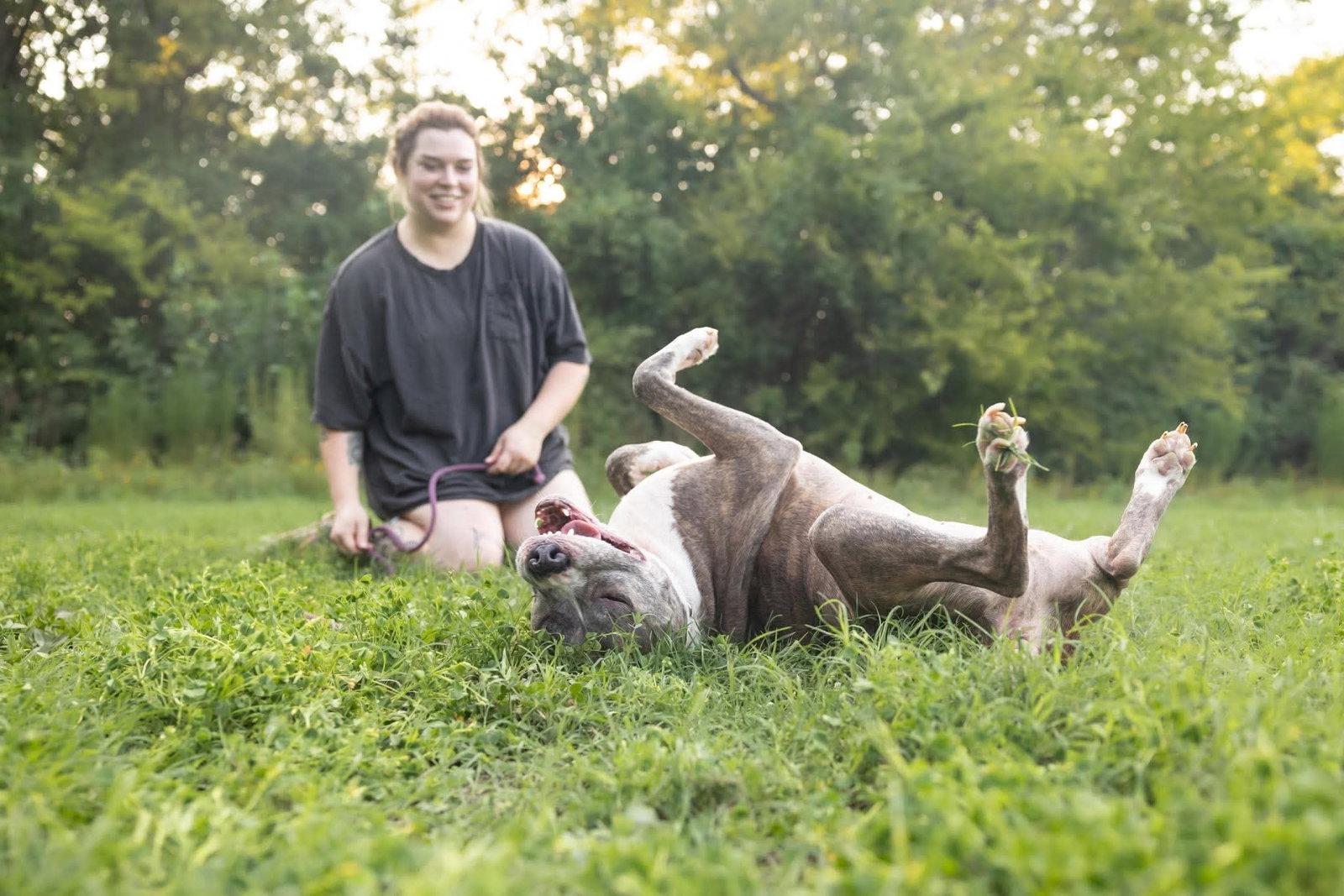 Nala, a Adoptable Pit Bull Terrier in Durham, NC image 2/3