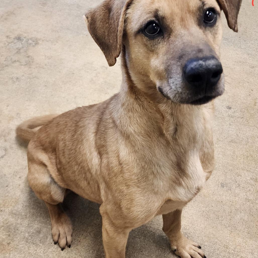 Simon — thumbnail 2