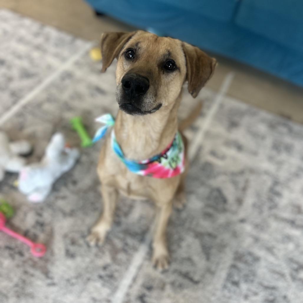 Simon — thumbnail 3