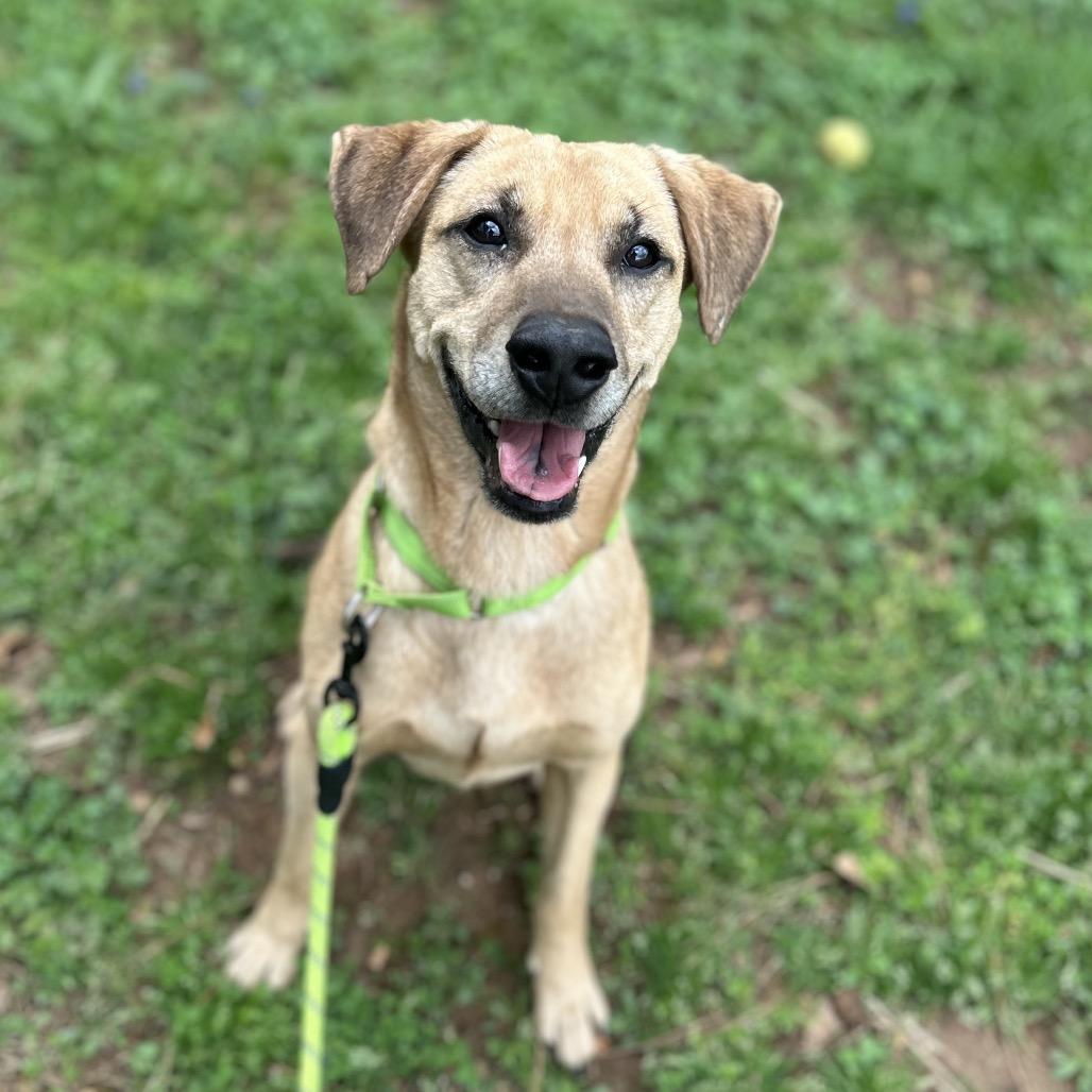 Simon — thumbnail 4