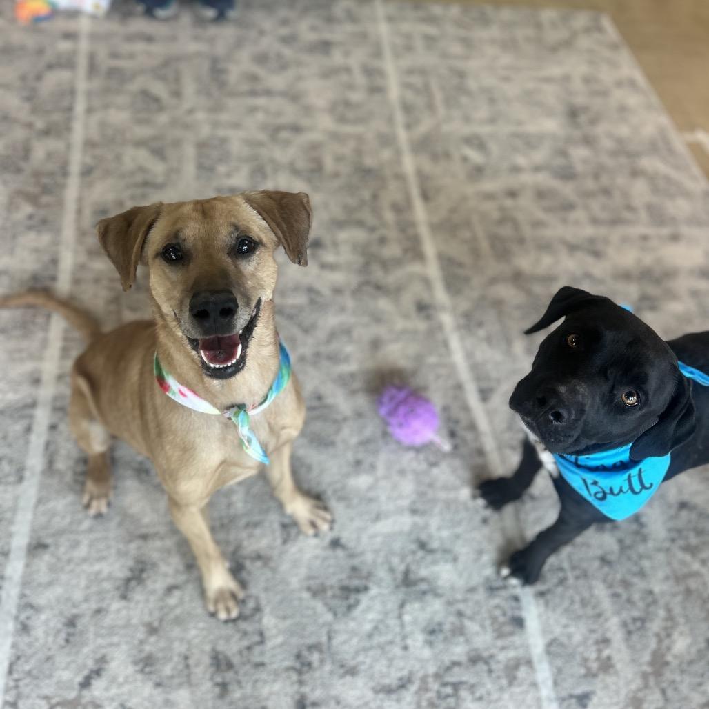 Simon — thumbnail 5