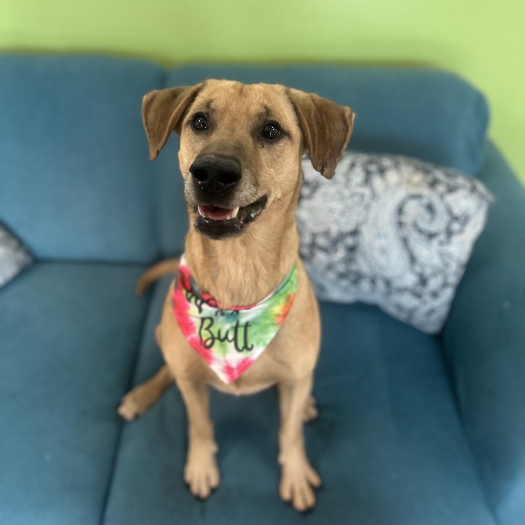 Simon — thumbnail 6