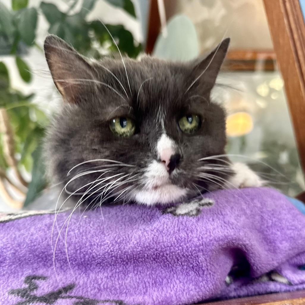 Chloe in Colorado — thumbnail 2