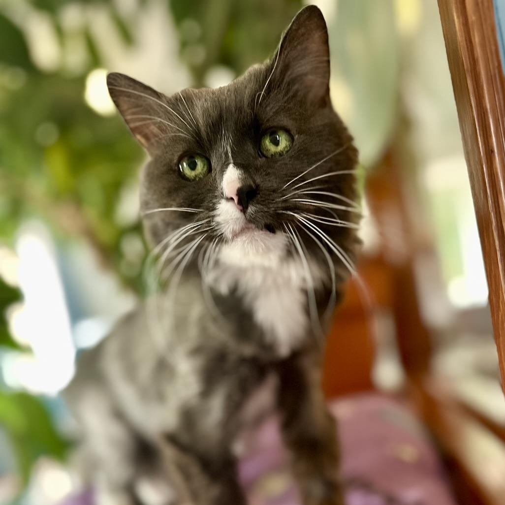 Chloe in Colorado — thumbnail 3