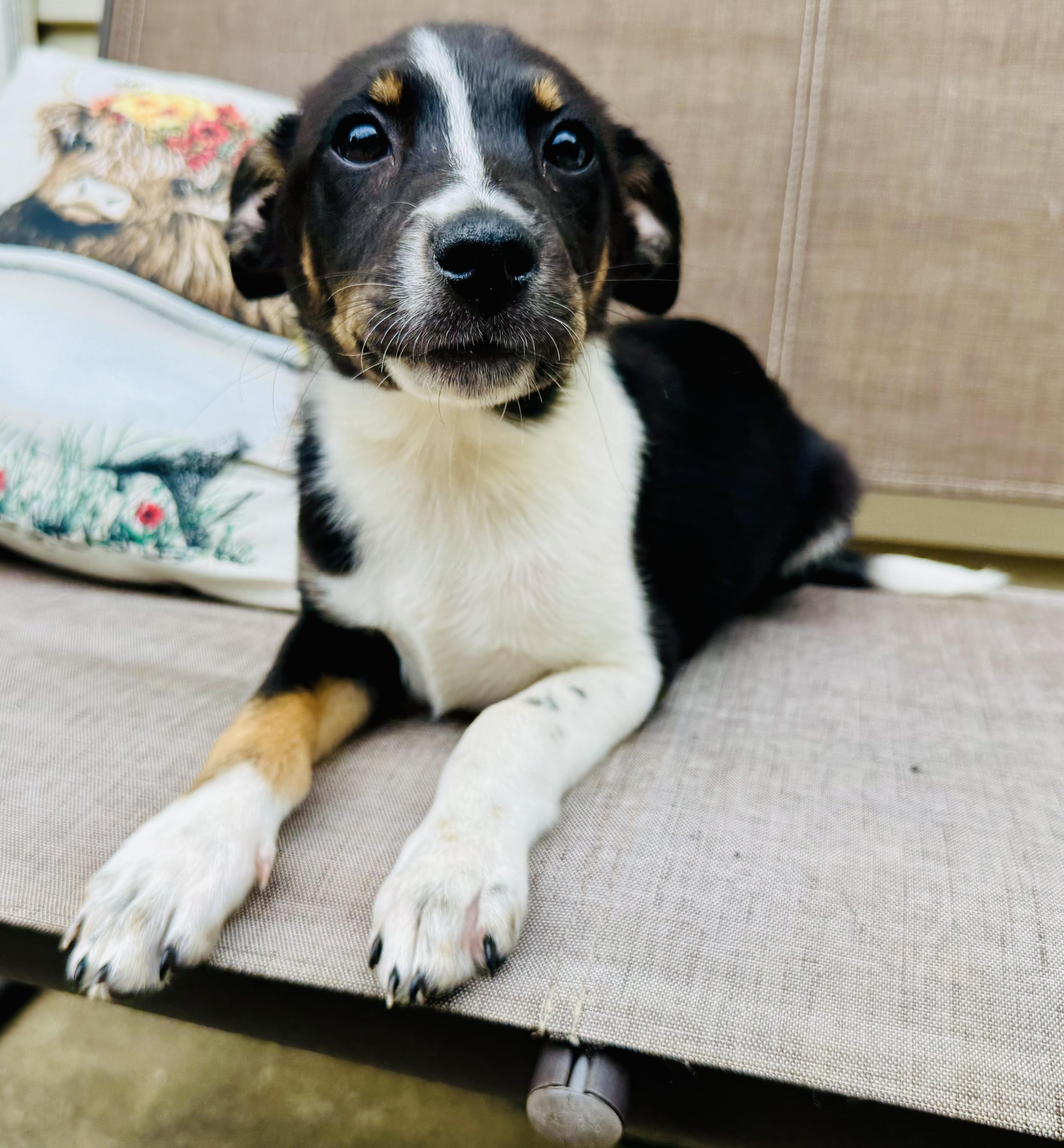 Ella