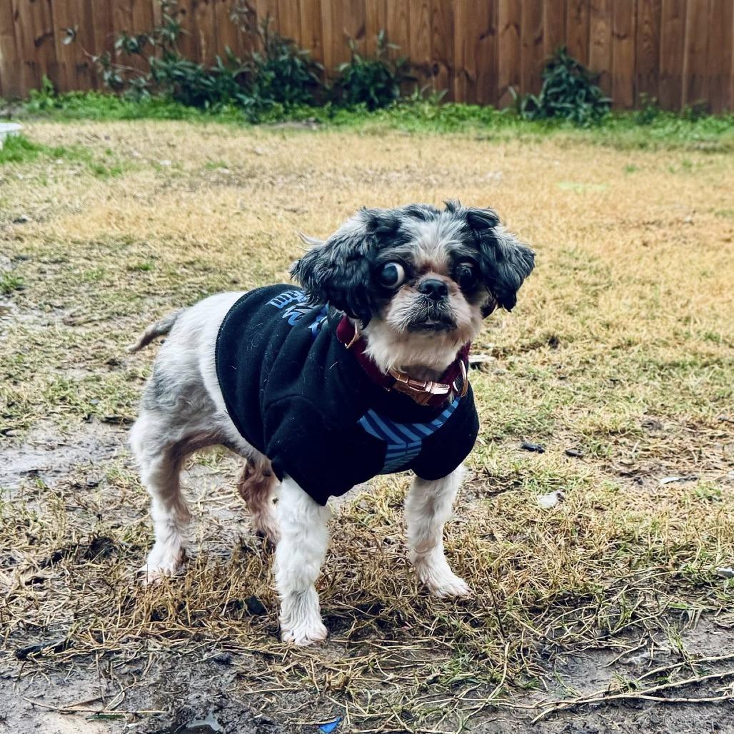 Maleficent — thumbnail 2