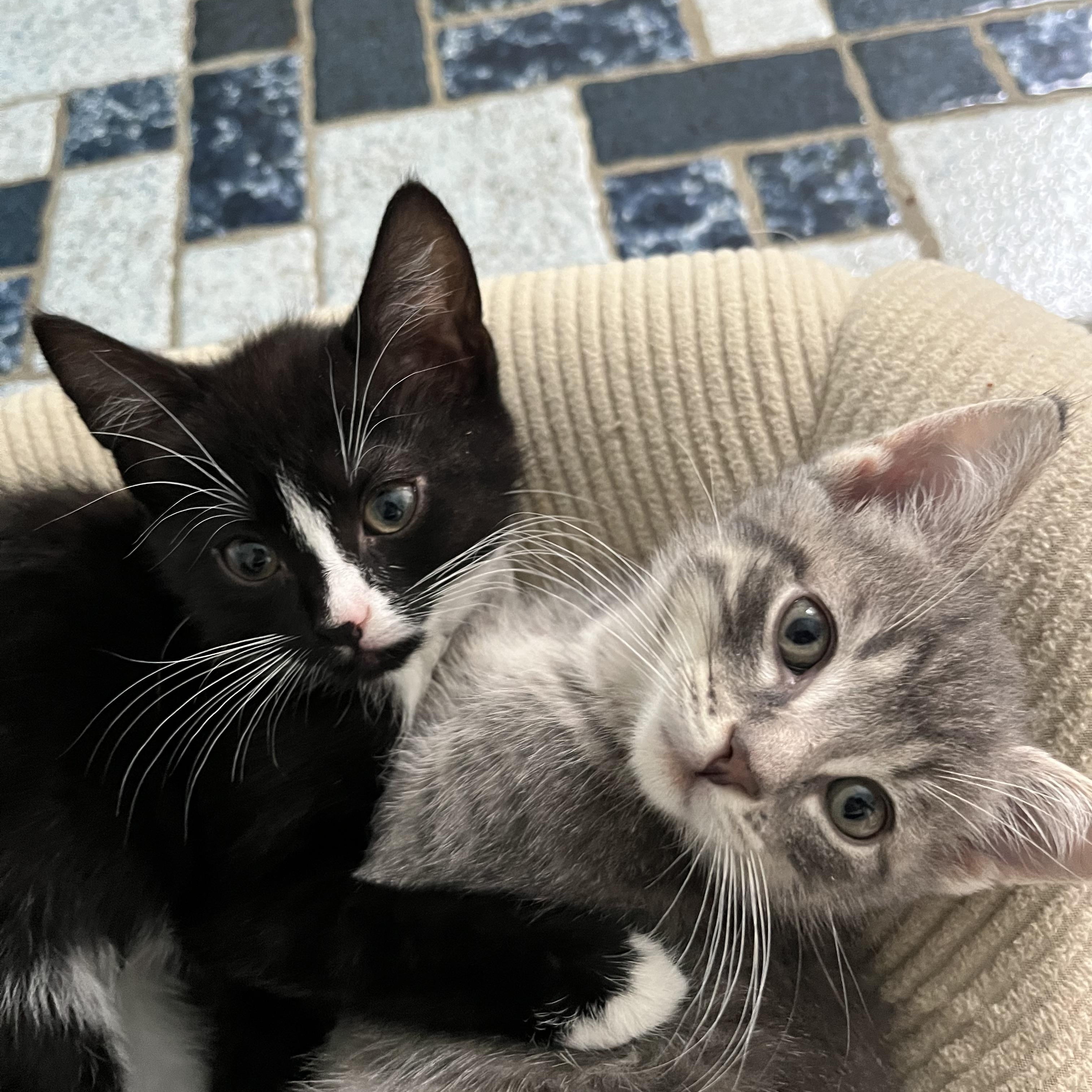 Merv And Nora