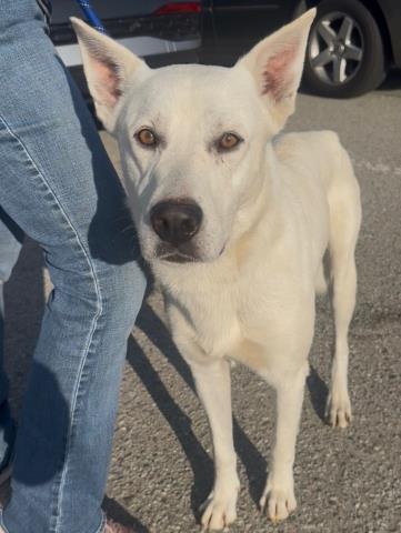 Hank  Longtime Resident!