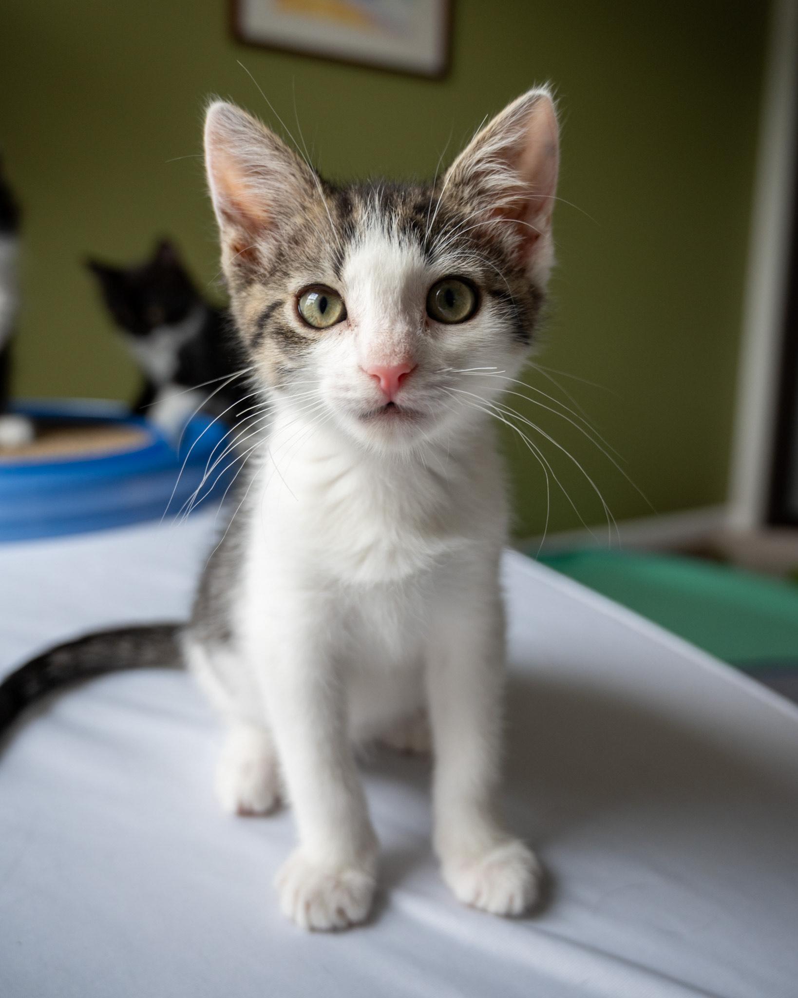 Wally-full of personality!