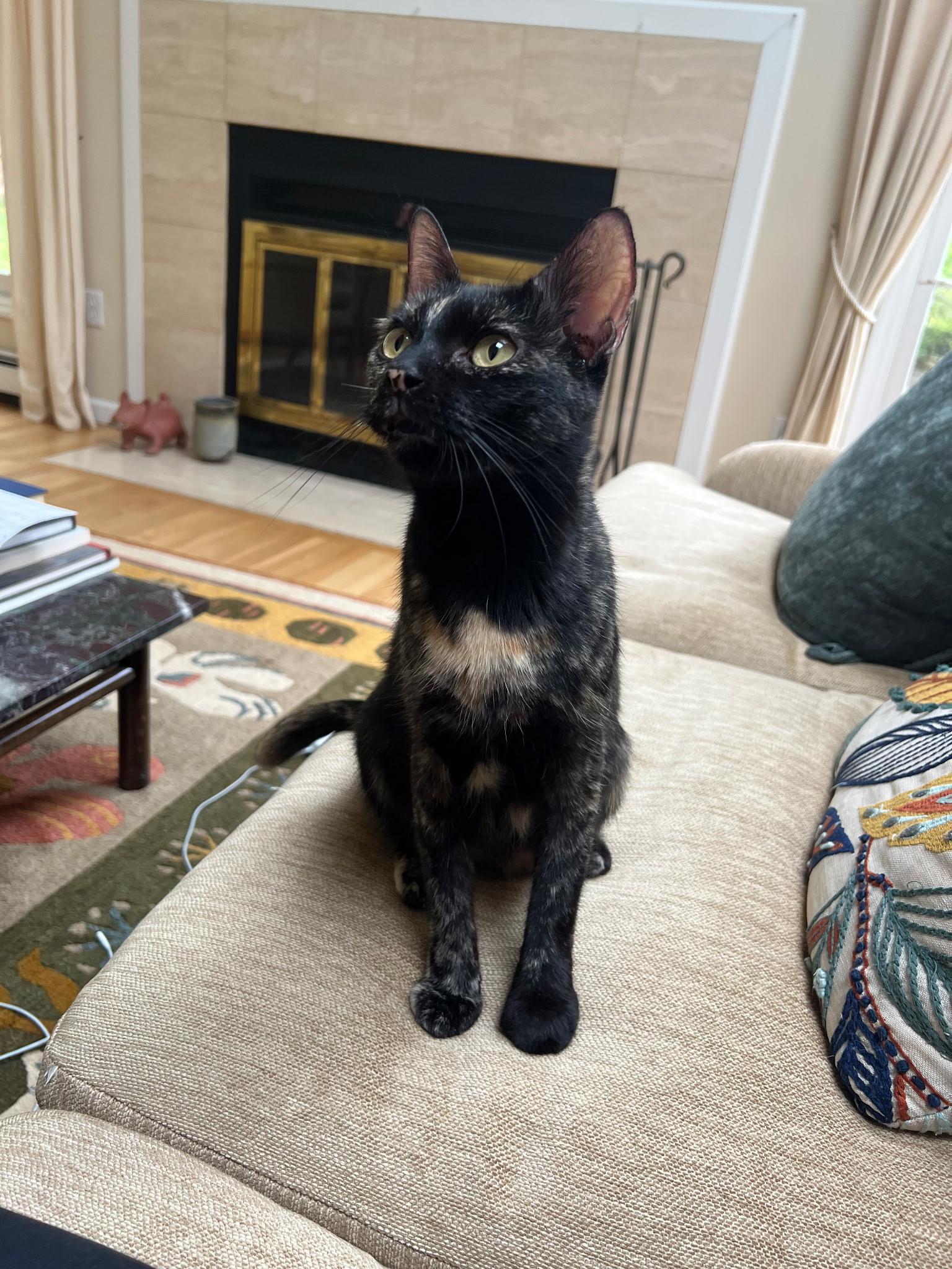 Penelope photo 2
