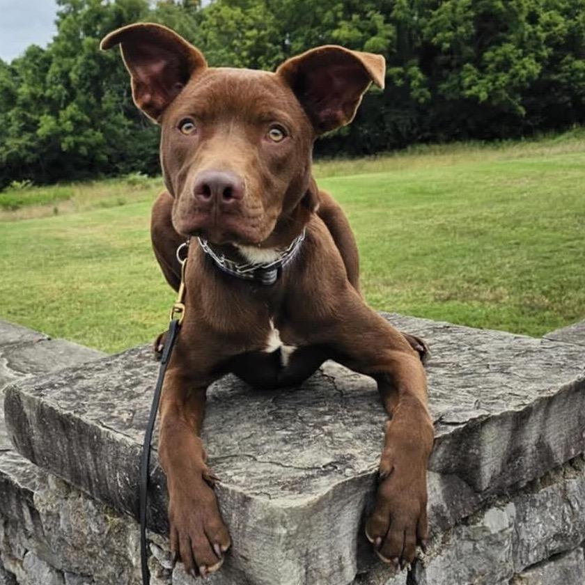 Buster Brown thumbnail 2