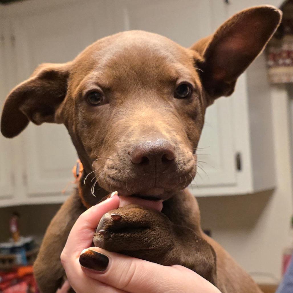 Buster Brown thumbnail 3