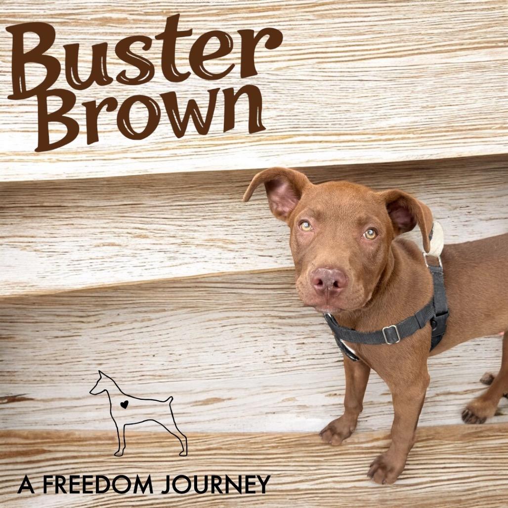 Buster Brown thumbnail 6