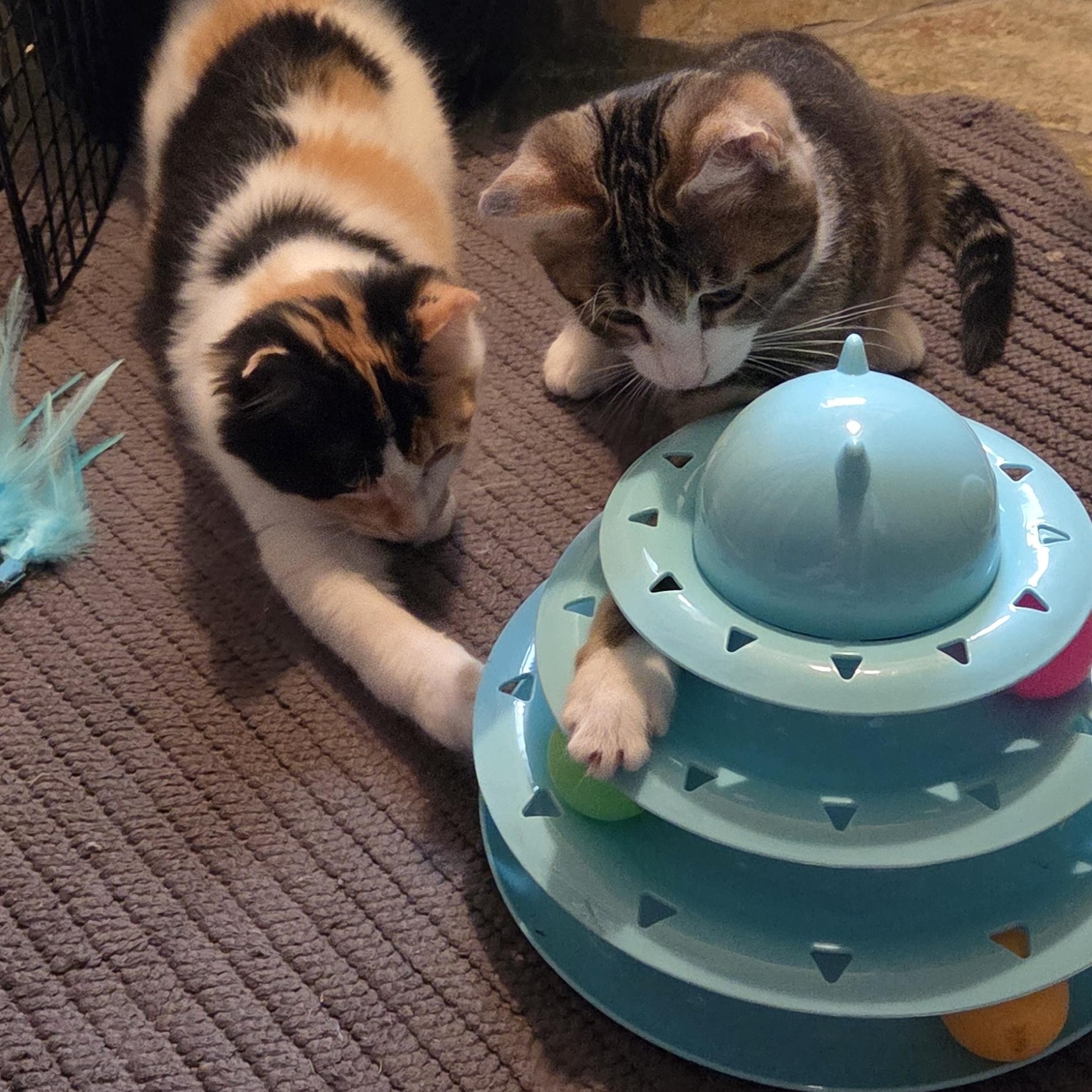 Spencer & Betsy