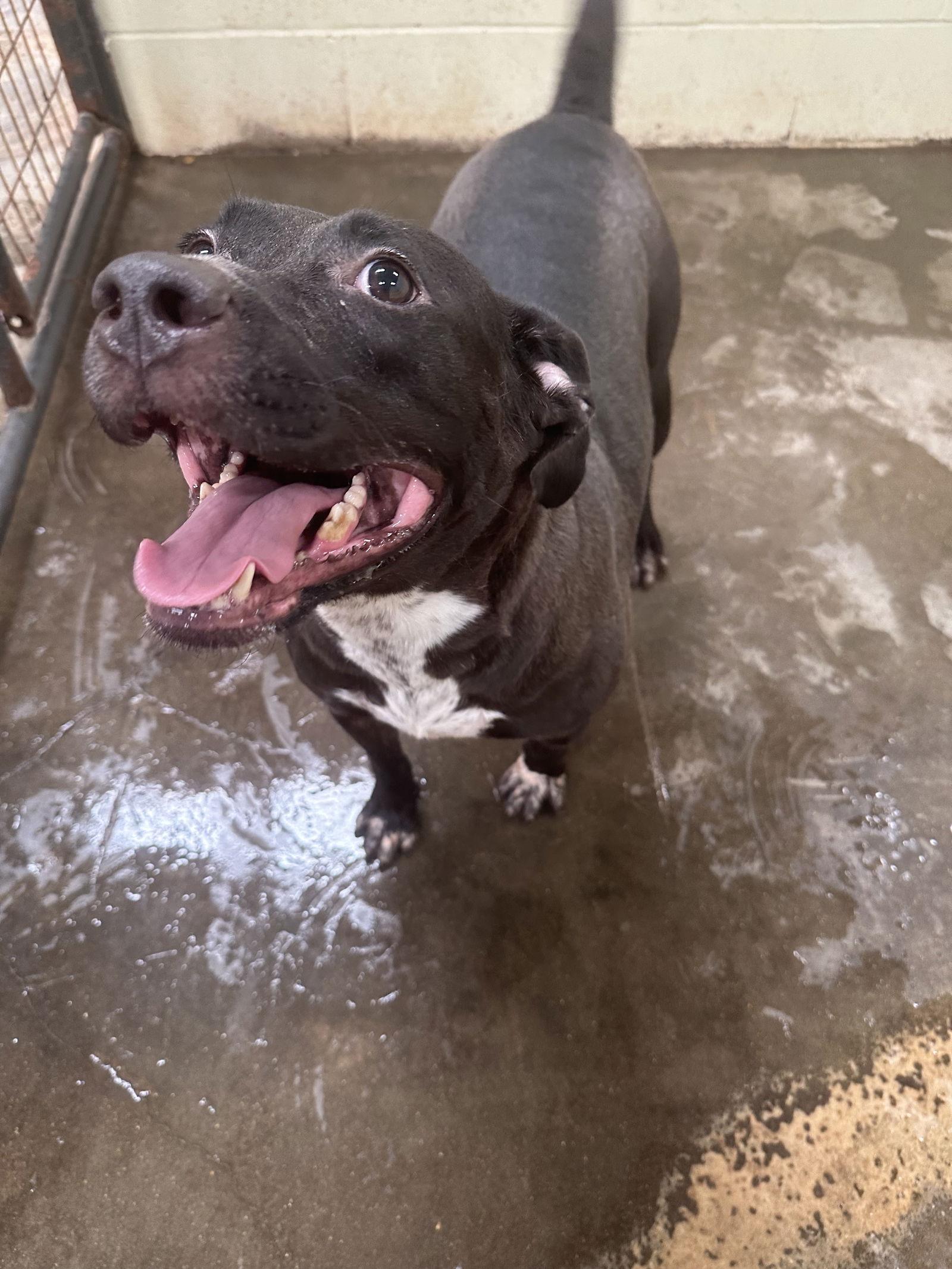 Carol — thumbnail 2