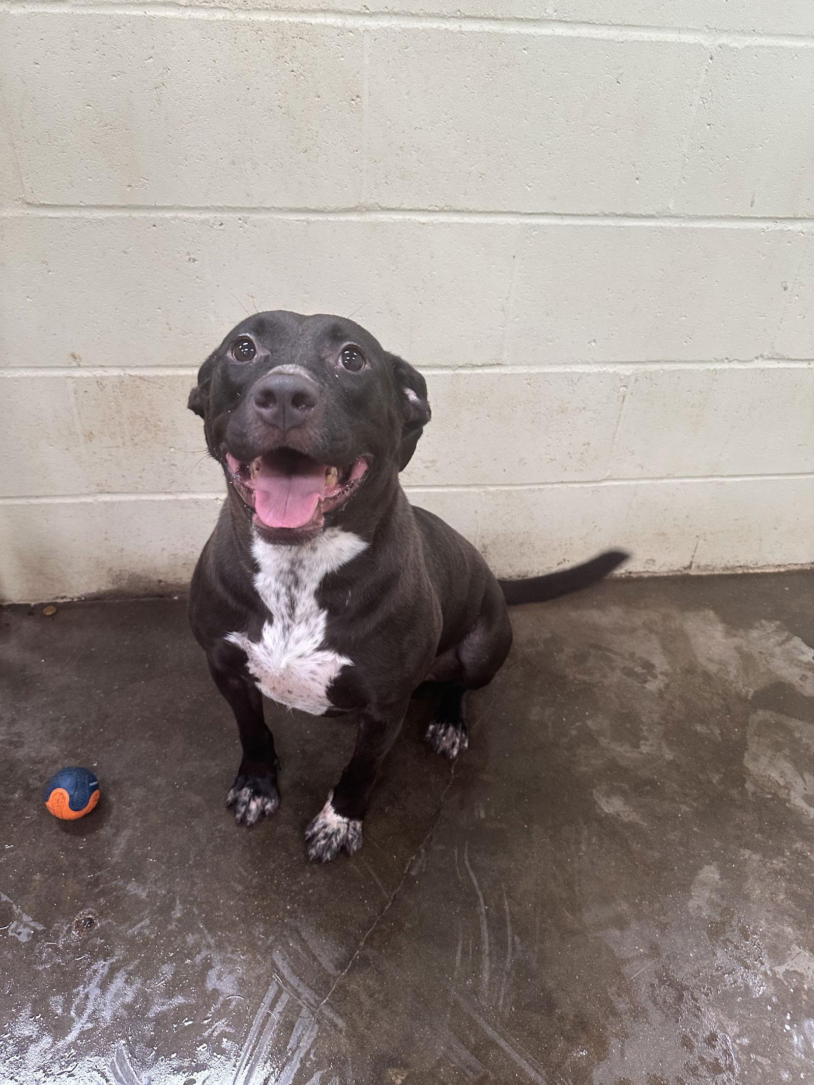 Carol — thumbnail 3