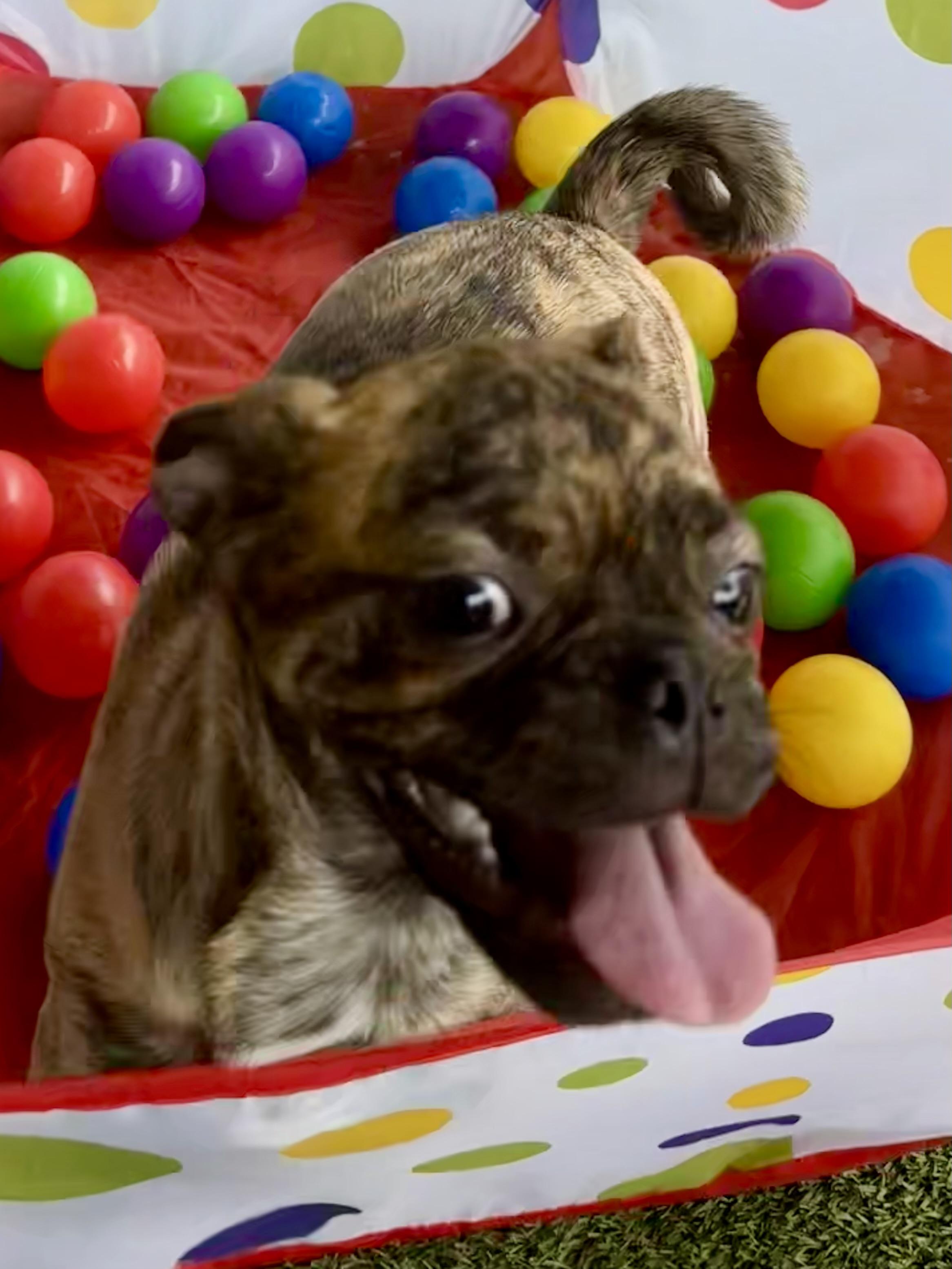 Clara — thumbnail 5