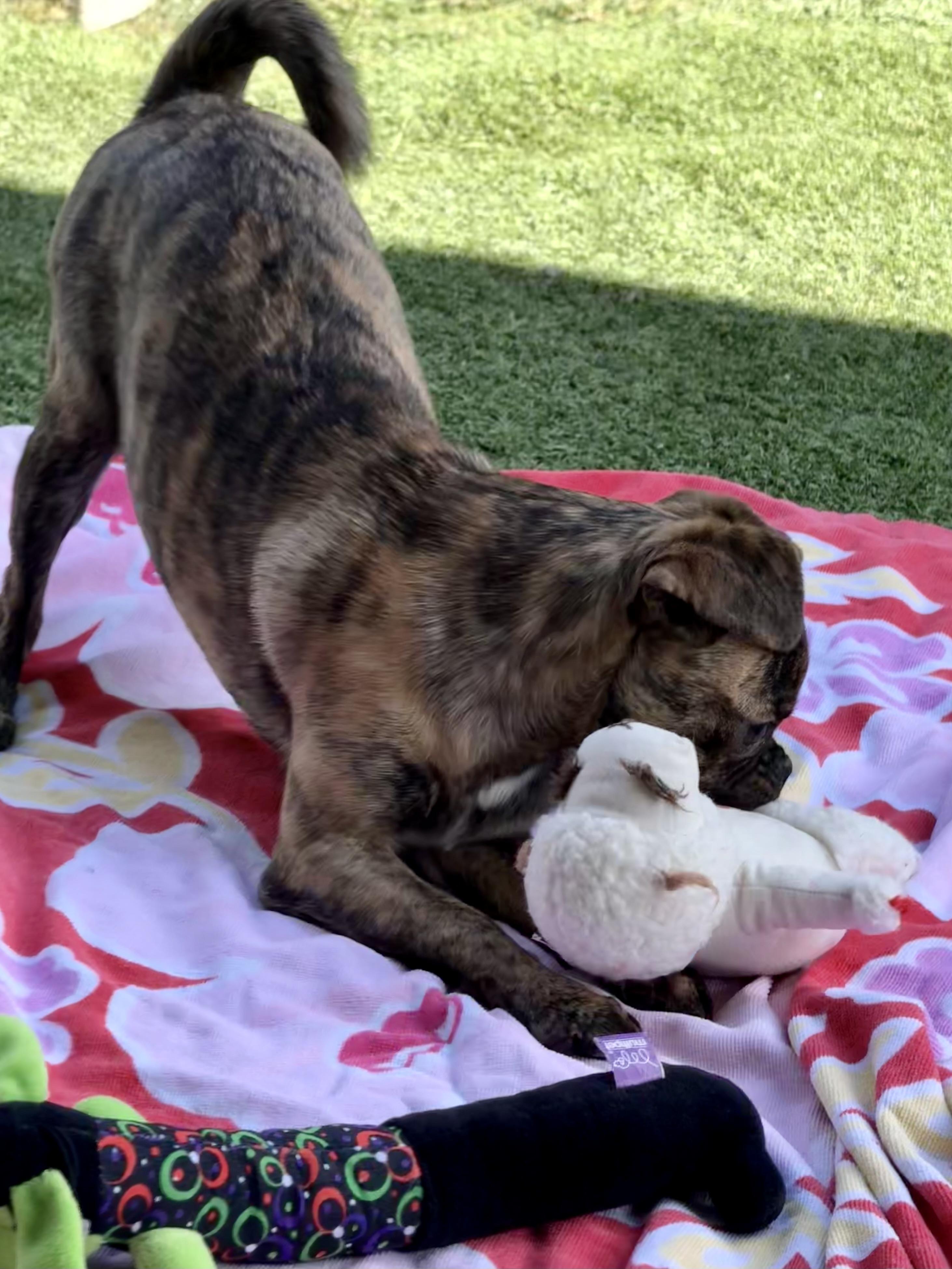 Clara — thumbnail 6