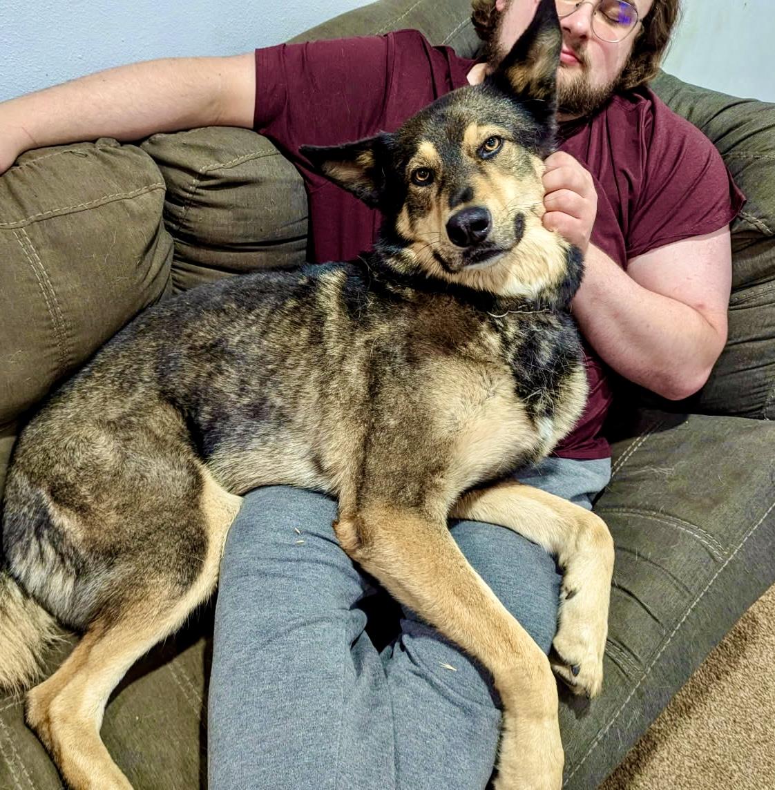 Garrus-local good boy with an impeccable resume! photo 5