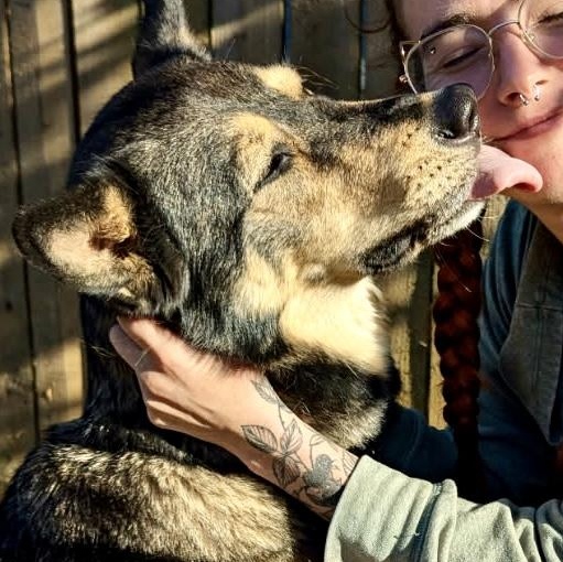 Garrus-local good boy with an impeccable resume! photo 2