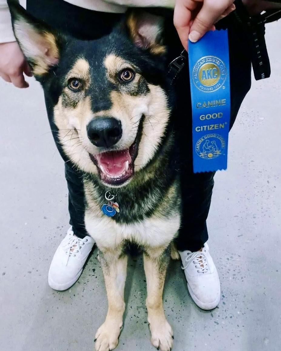 Garrus-local good boy with an impeccable resume!