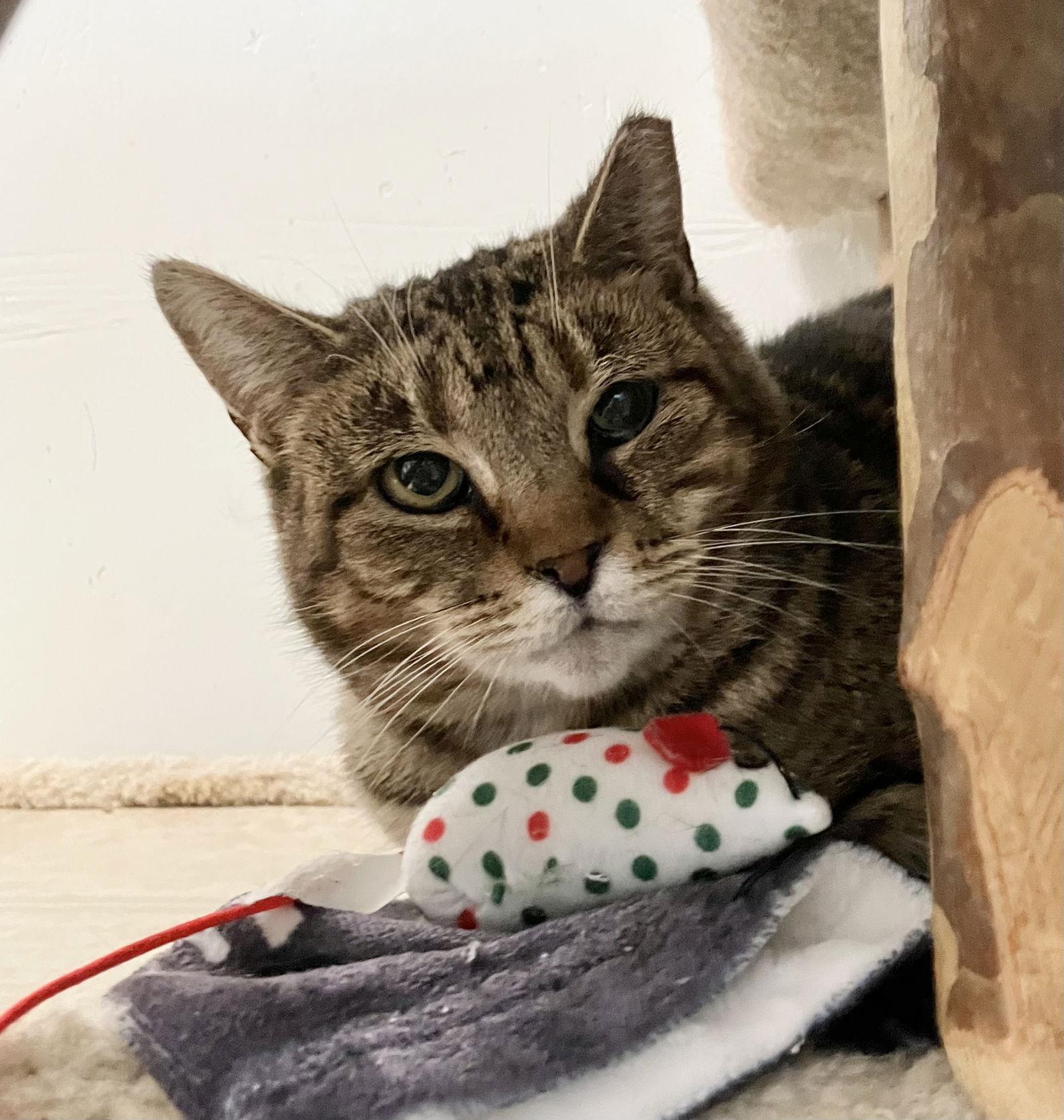 Floria — thumbnail 3