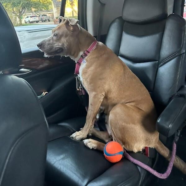 Leoni Roe Lover Girl — thumbnail 5