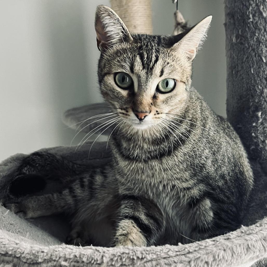 Jerry — thumbnail 2