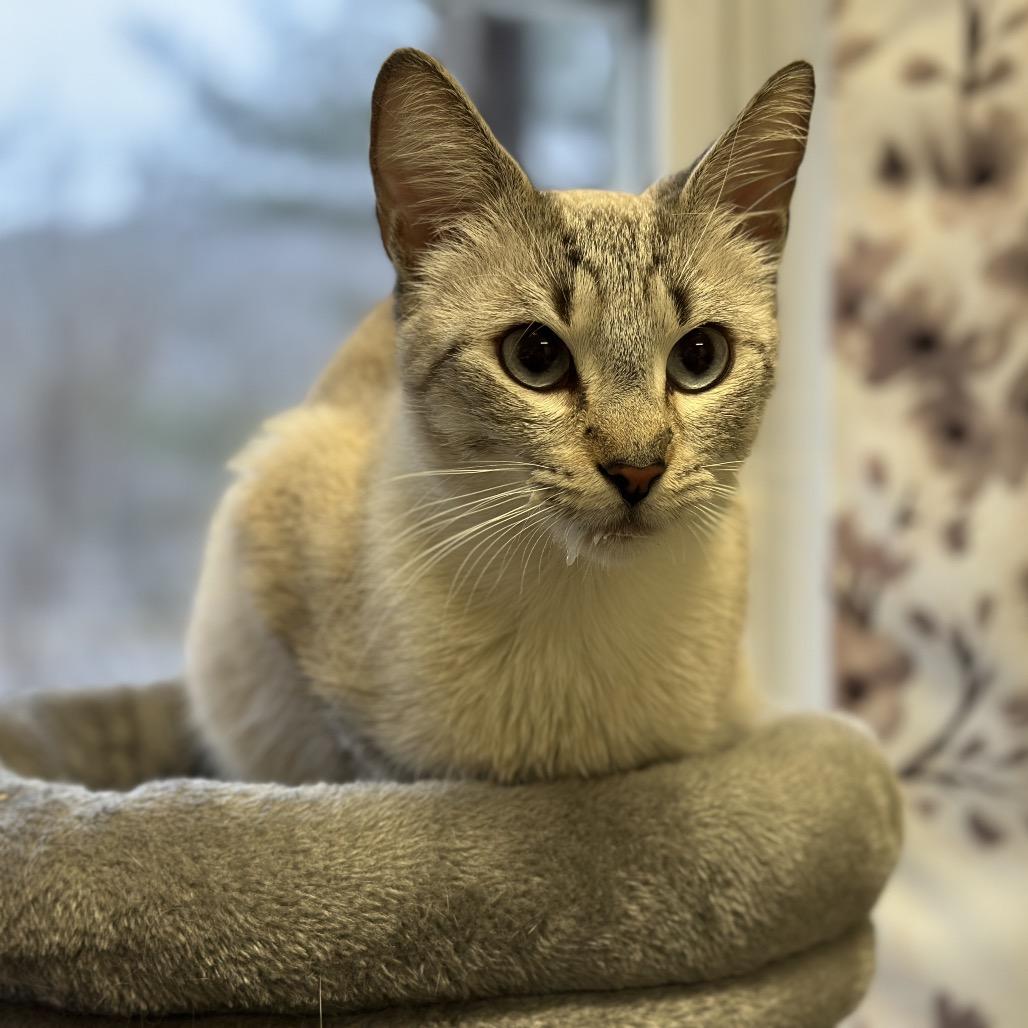 Heisenberg thumbnail 2