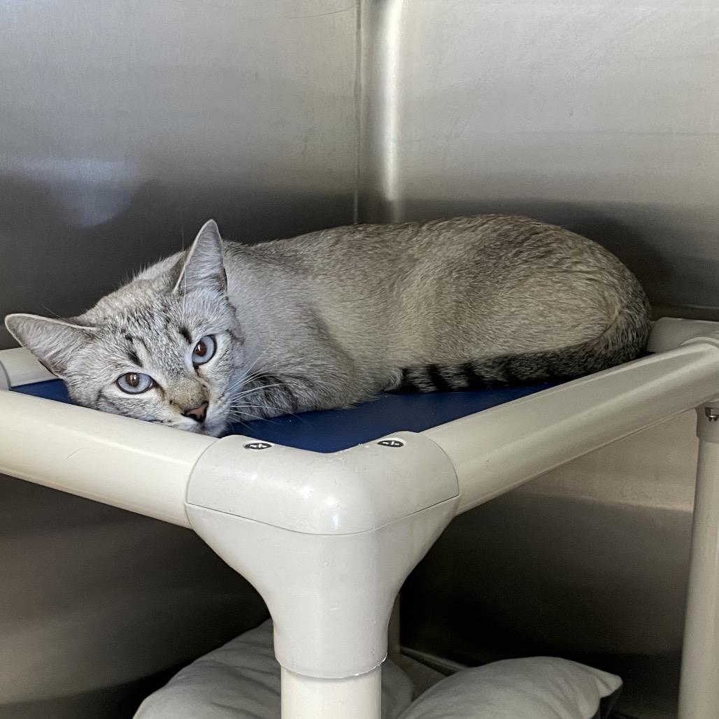 Heisenberg thumbnail 3