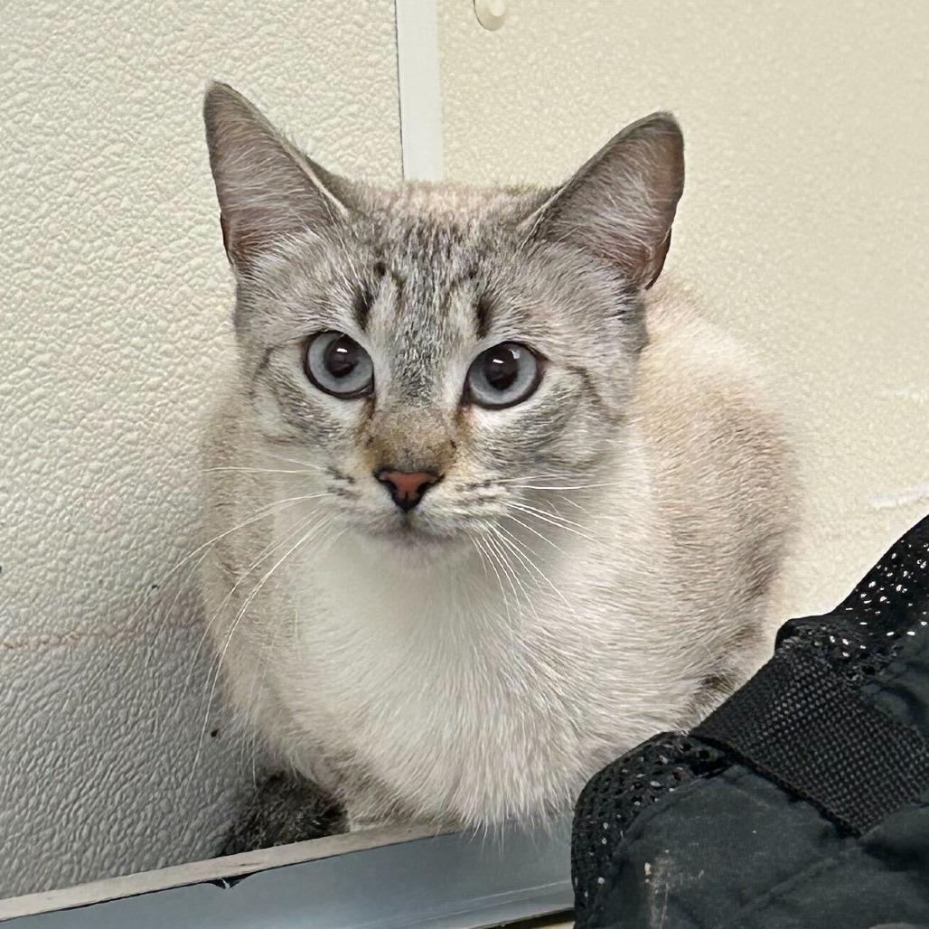 Heisenberg thumbnail 4