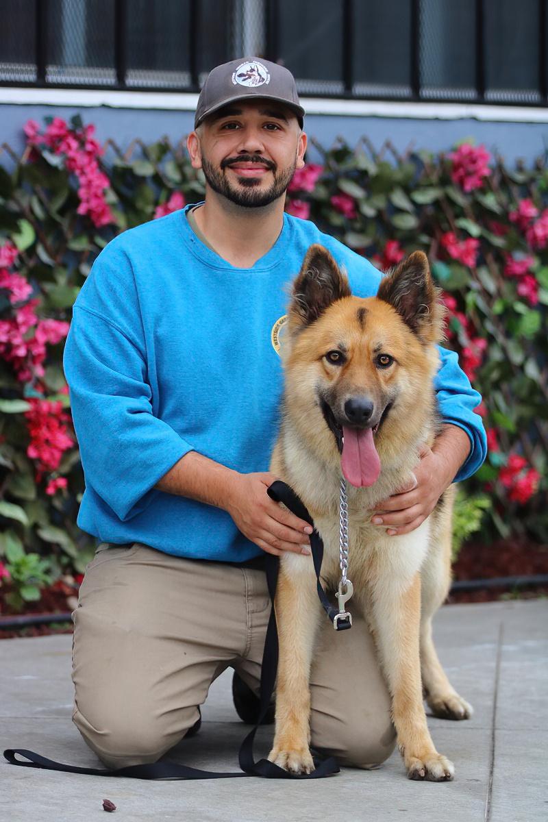 Enlarge Denver von Dohna", a Adoptable mixed breed in Los Angeles, CA image 2/6