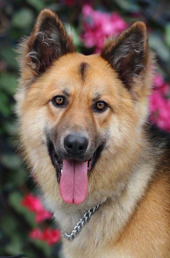 Denver von Dohna"
