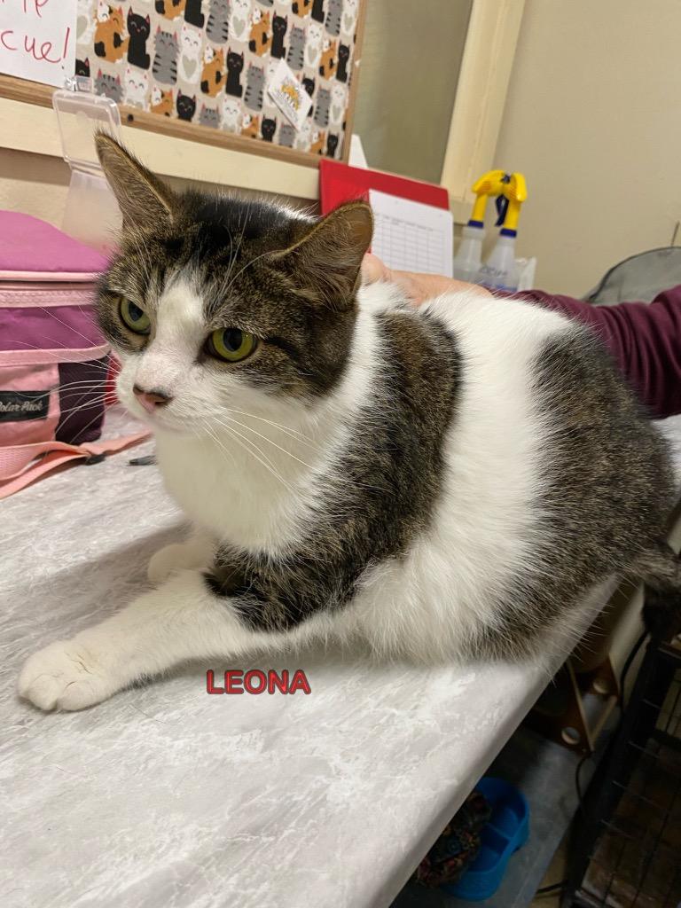 Leona photo