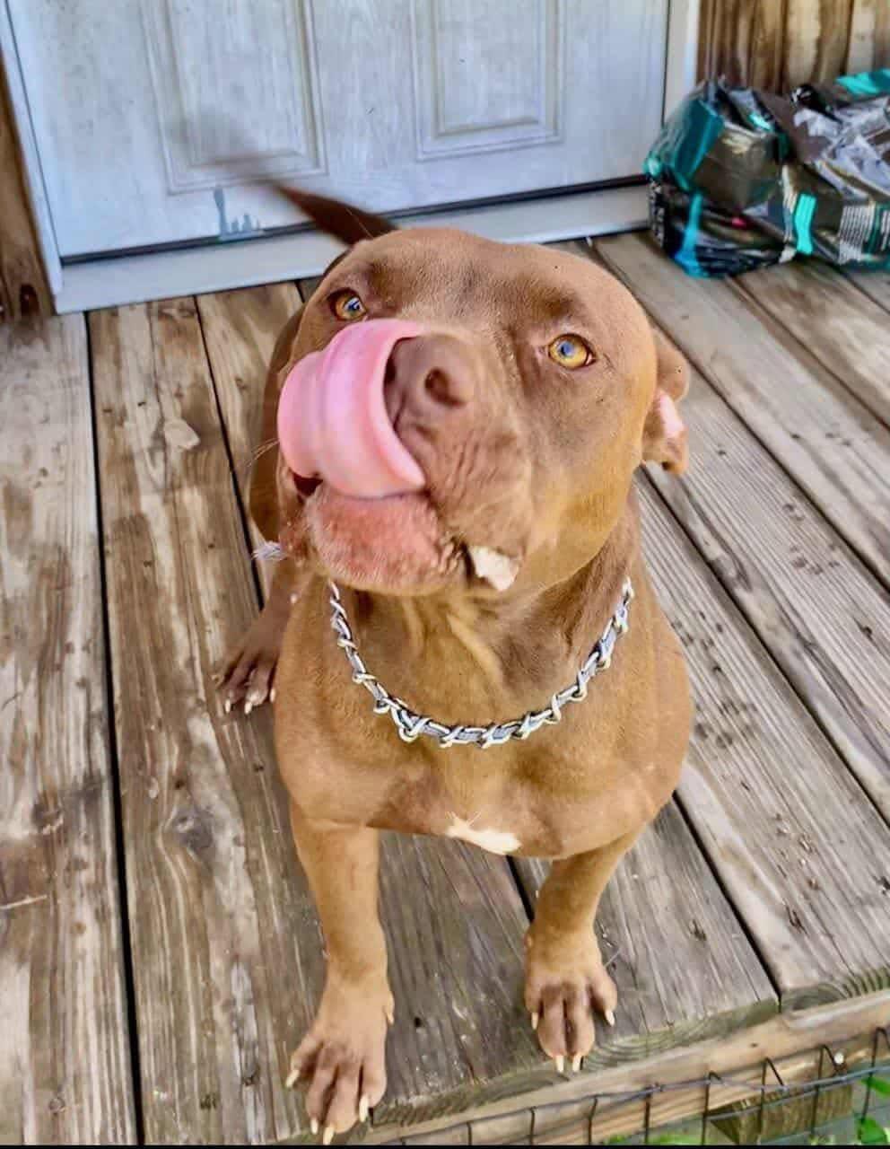 Ruby