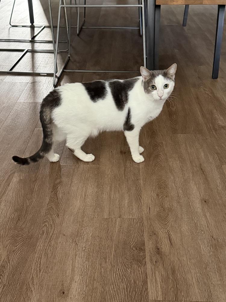 Aura — thumbnail 2