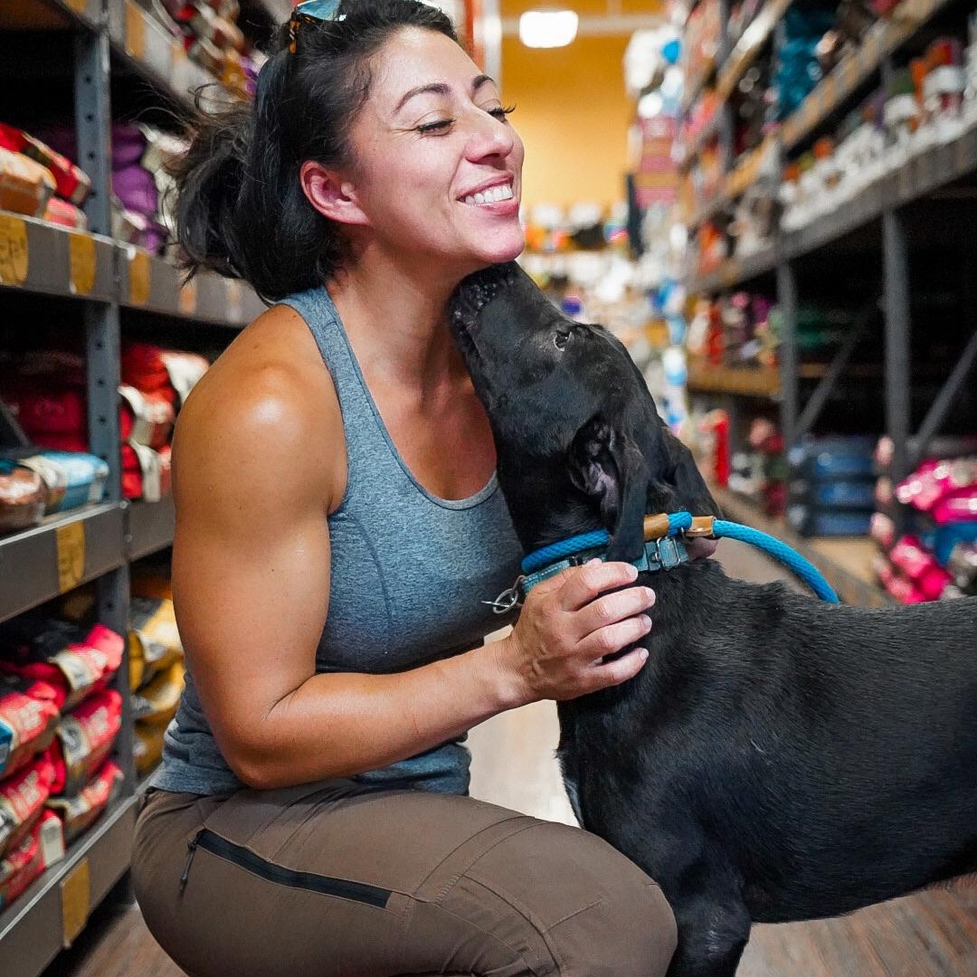 Enlarge Annie, a Adoptable mixed breed in Plano, TX image 2/6