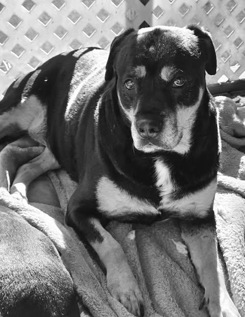 Lady Gabby thumbnail 2