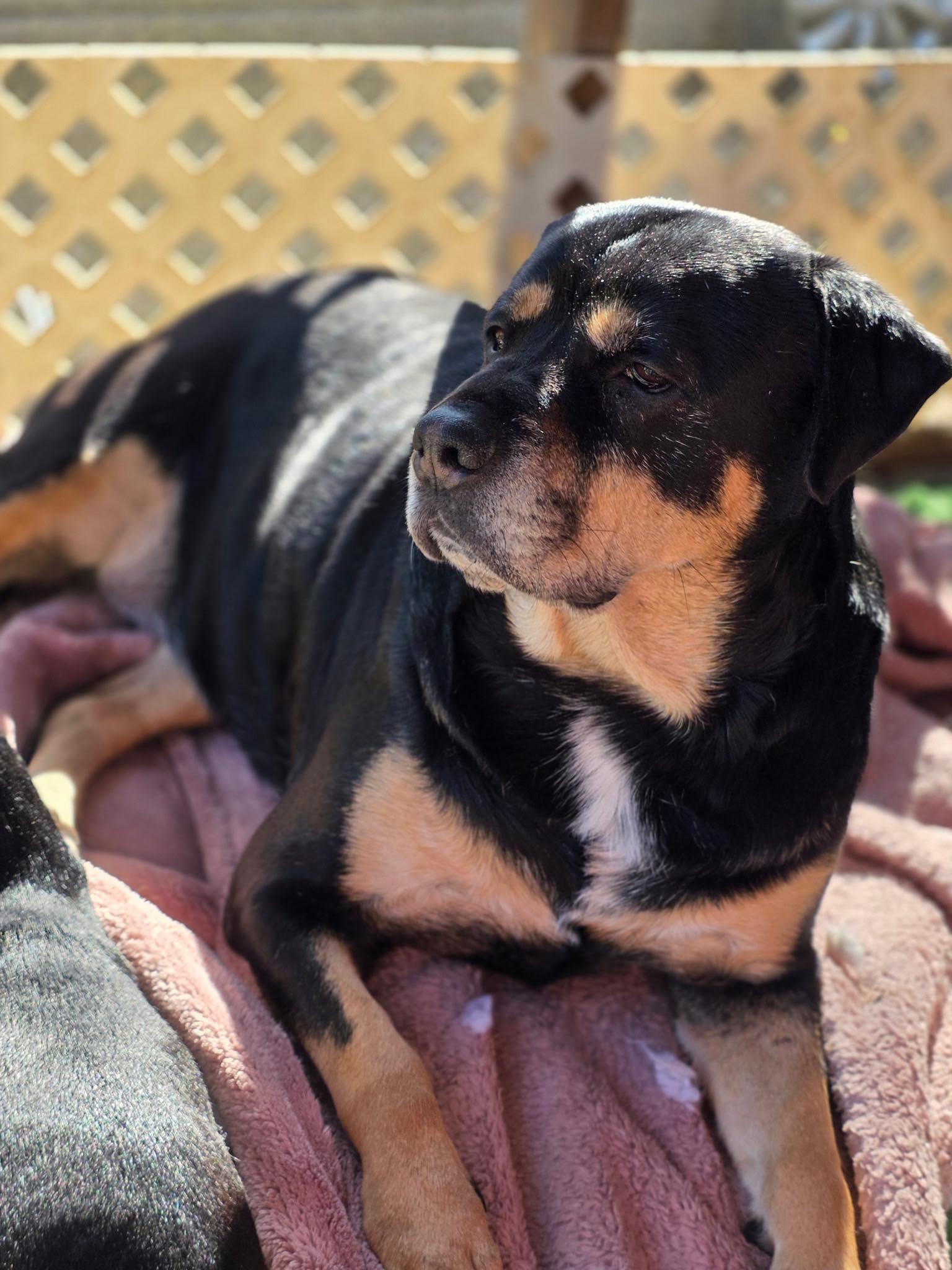 Lady Gabby thumbnail 3