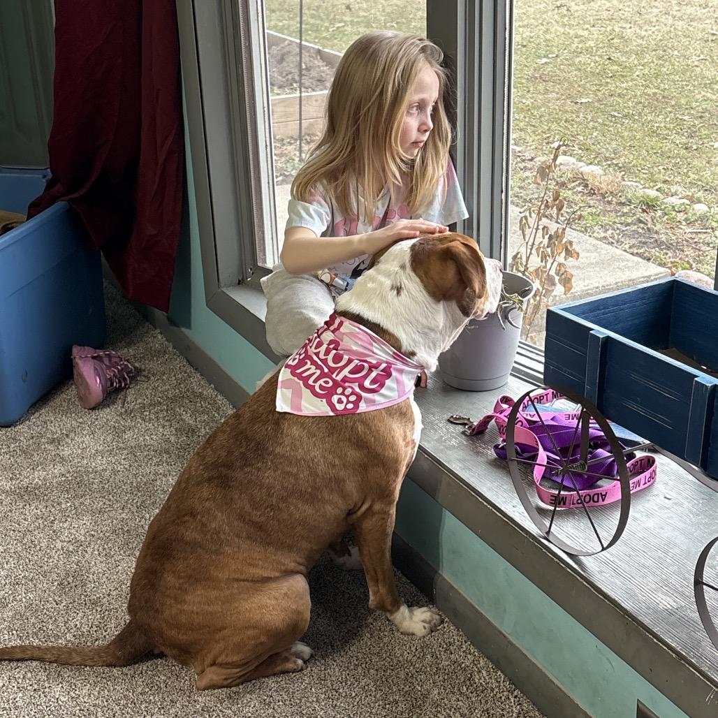 Hattie — thumbnail 4