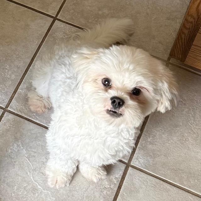 Willie — thumbnail 4