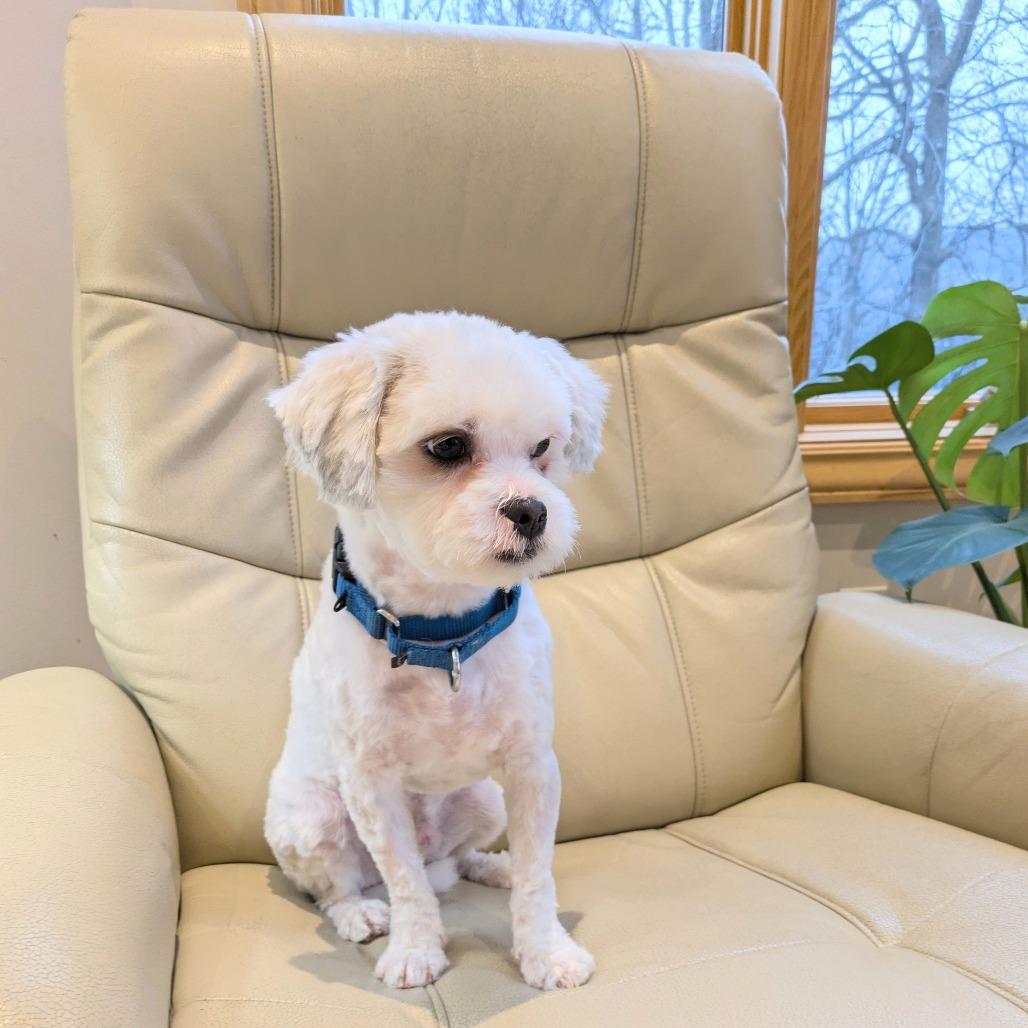 Willie — thumbnail 6