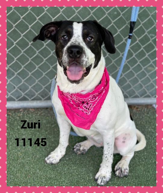 ZURI
