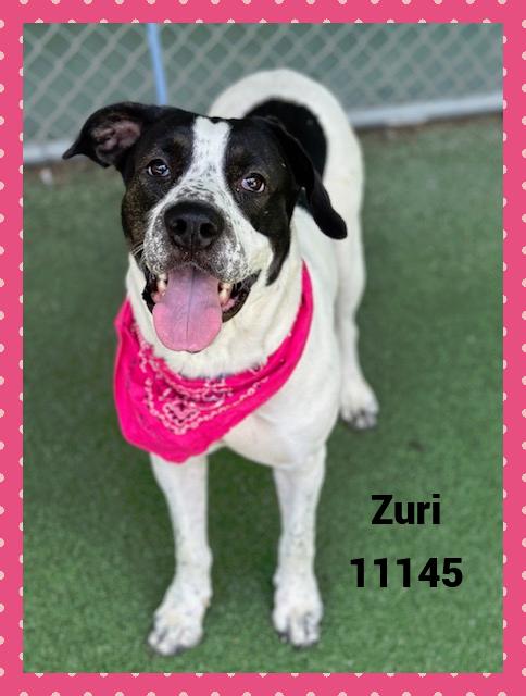 ZURI