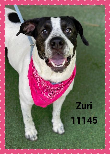 ZURI